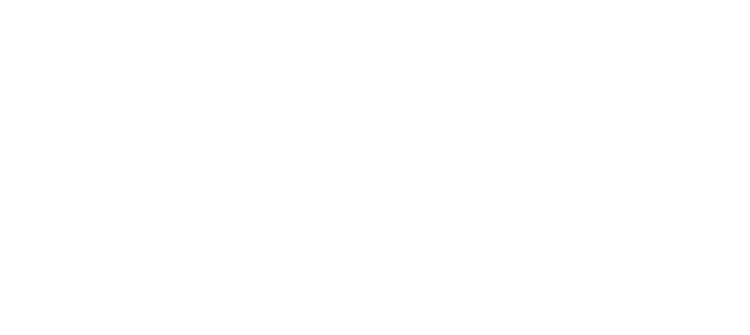 Dreamersi Logo