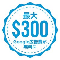 Up to $300 free Google ad credit